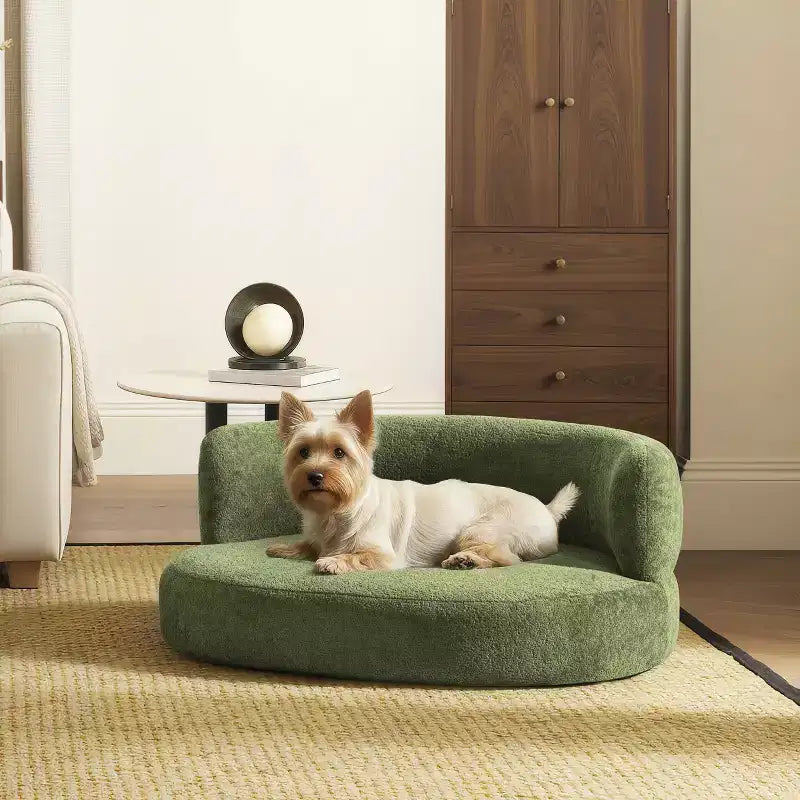 Canapé-lit incurvé pour chien de 36 po, moyen, Teddy polaire vert mousse